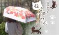 【傘POP UP】(株)サントス、名古屋駅地下にて傘のポッ