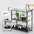 【多肉植物・アガベ愛好家へ】コレクション株を、来春