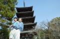 京都で嵐電と世界遺産を貸切り！医療的ケアがある子ど