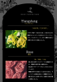【EBISU FLOWER PARK 仙台店】がさらなる進化。“光の