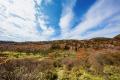 群馬県赤城山 紅葉の時期に「普段は入れない！赤utf-8