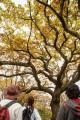 群馬県赤城山 紅葉の時期に「普段は入れない！赤utf-8