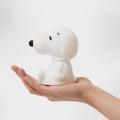 【MoMA Design Store】「75 Years of Peanuts」チャー