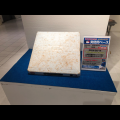 【エスパル山形】昨年に引き続き「日本人メジャーリー