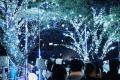 【東京ミッドタウン】今年もしゃぼん玉と雪のイutf-8