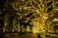 【東京ミッドタウン】今年もしゃぼん玉と雪のイutf-8