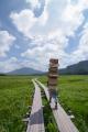 高尾の楽しみ もっと広がるマーケット「高尾山のutf-8
