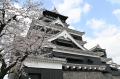 熊本市の高校生開発のブランド豚「くまもとの赤ぶた」