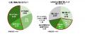 ＜若者の車への意識調査＞ナンバープレートさえutf-8