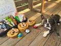 愛犬と泊まれるプライベート温泉付き宿泊エリア「Dear
