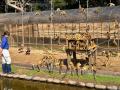 リスザルビュースポット登場【国営海の中道海浜公園】