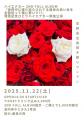 ハイエナカーの2nd Album『世界中に張り巡らされてる