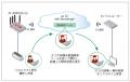 【接続検証】企業向け5G対応ルーター　5G MECにutf-8