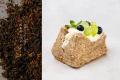 この秋、4種のスイーツが新登場。選べるおいしさ10月1