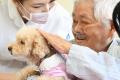 癒されたのは、犬も人も。