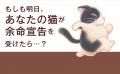 ＜すべての飼い主必読＞『愛猫が余命20日と宣告されま