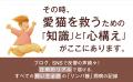 ＜すべての飼い主必読＞『愛猫が余命20日と宣告されま
