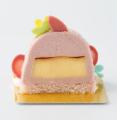 【花咲かタイムズ×ぴよりん】東海地方の人気テレビ番