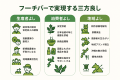 国産よもぎ不足が深刻化！沖縄「フーチバー」で解決へ
