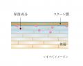 「SEＮSAI(センサイ)」最高峰のＵＴＭシリーズから、