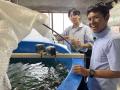 「魚がいる未来の作り方-海とインターンシップ 成果報