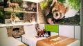 大阪2軒の変なホテル　開園110周年「天王寺動物園」と