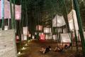 【新潟・田上町】竹林アートイベント「たがみバンブー