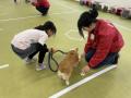 【選べる２日程！こどもの休日の過ごし方】 救助犬ト