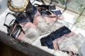 婦人科医監修“おりもの特化型”吸水ショーツのモutf-8