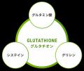 WAKU、「みどりの食料システム法に基づく基盤確立事業