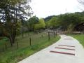 東北地方の動物園では初！盛岡市動物公園で免許不要で
