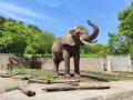 東北地方の動物園では初！盛岡市動物公園で免許不要で