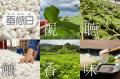 「蚕感日（さんかんび）～蚕を五感で楽しむ日～」日本