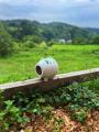千葉県富津市の古民家グランピング施設「和心村」よく