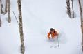 長野県北部6スキー場共通シーズン券「NAGANO6 Powder 