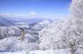 長野県北部6スキー場共通シーズン券「NAGANO6 Powder 