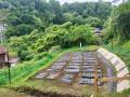 横浜市栄区の「手ぶらで来れるレンタル農園」が10/1か