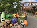 秋バラとハロウィン・ハーベスト 開催（国営越後丘陵