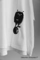 MOOMIN × a part of me. | Y’s 10月1日より発売