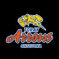 【 静岡県 × eiicon 】「東レアローズ静岡（バレーボ
