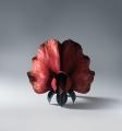 【新宿高島屋】「小島 久典 展‐Helix temporis-」、10