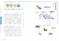 「あの鳥、何を食べているんだろう？」がイラストでわ
