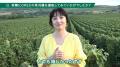 元バレリーナ 草刈 民代さんを起用した新CMが公開！