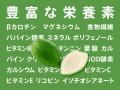 “酵素の王様”青パパイアが全国へ！宮崎県新富町発『パ