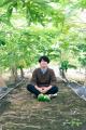 “酵素の王様”青パパイアが全国へ！宮崎県新富町発『パ