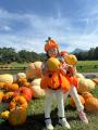 八ヶ岳の秋の恵みと食・酒の祭典「空と大地のハロウィ