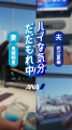 空旅ならではの「高揚感」を表現した新WEBムービー、1