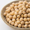 【今年も開催】10月12日は豆乳の日！大容量 1kgキット