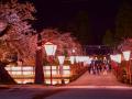 山形県新庄市、オンライン健康医療相談『産婦人科・小