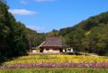 【秋はひょうご北摂の里山へ！】10月は里山イベント多